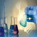 online BSc course